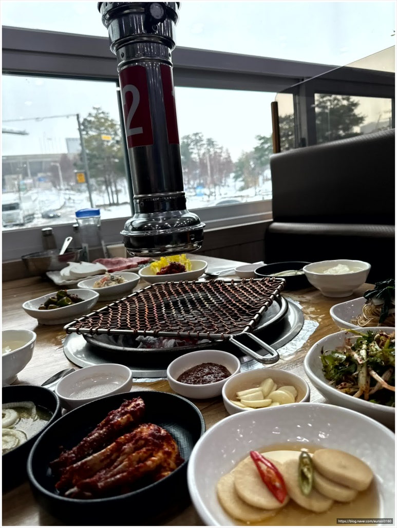 탄성한우 이미지