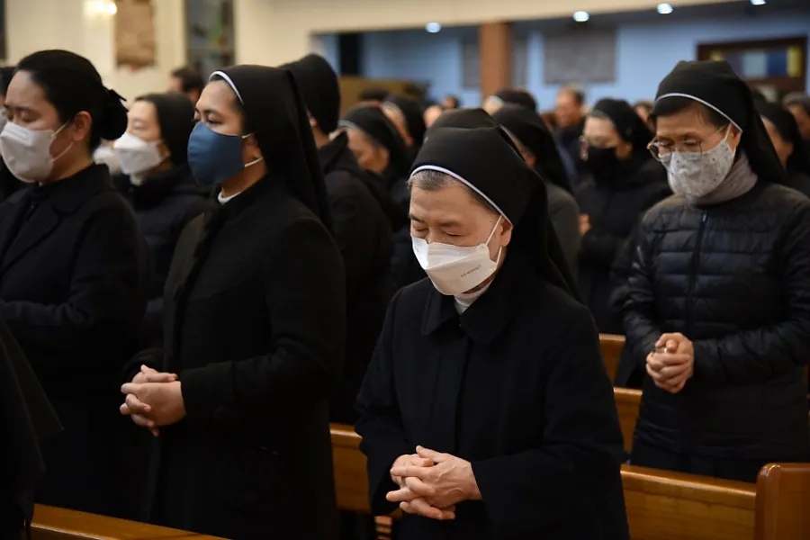 평화로운세상 이미지