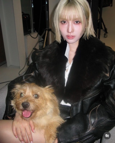 모모헤어라인 이미지