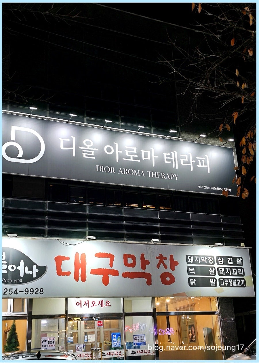 디올테라피 이미지
