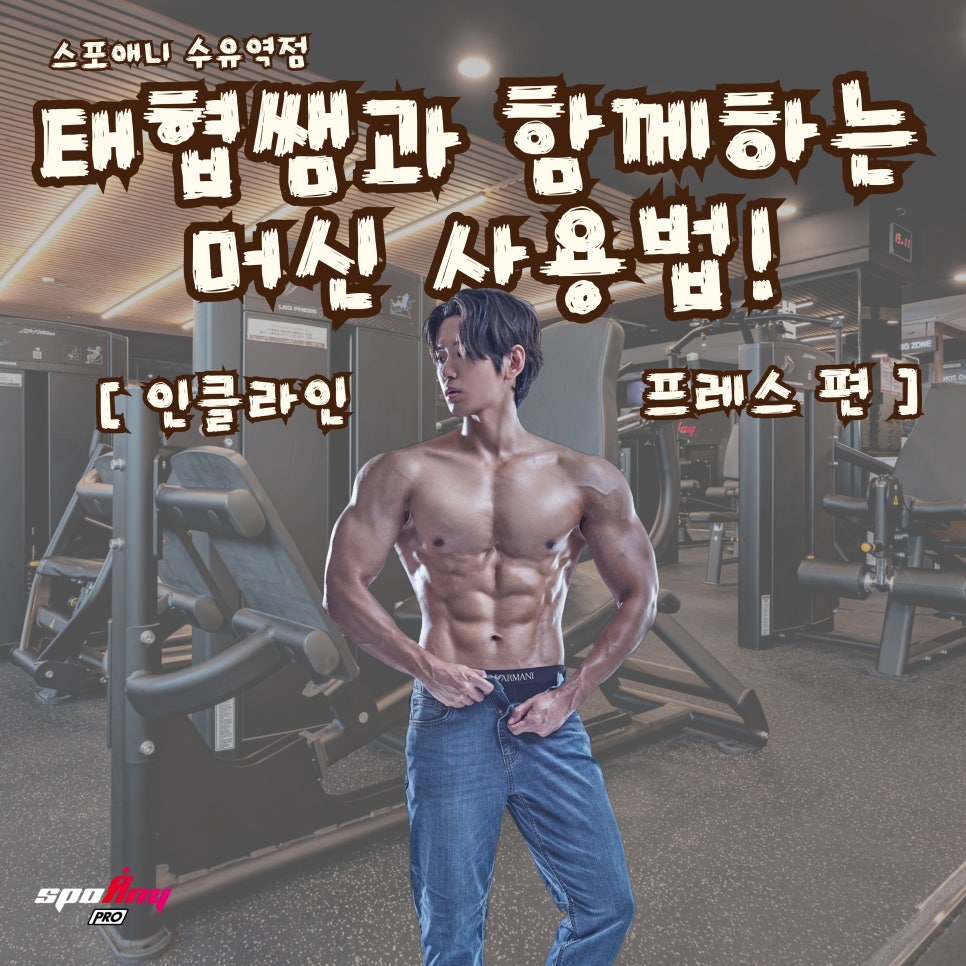태협 이미지
