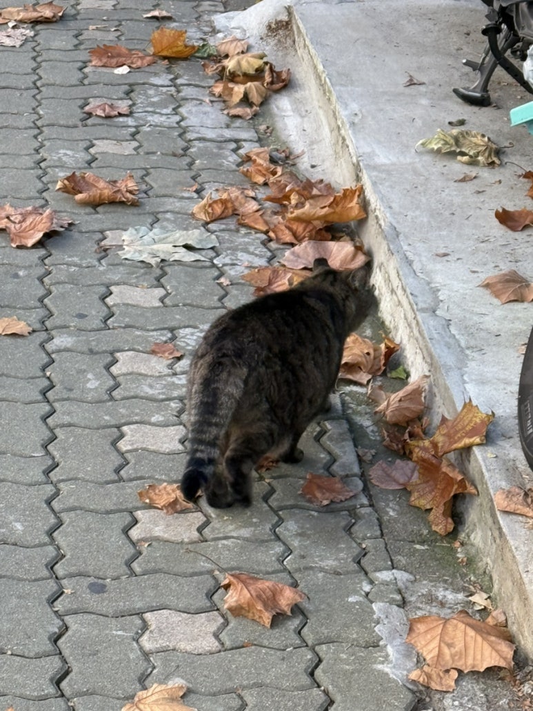 레인커피상수점 이미지