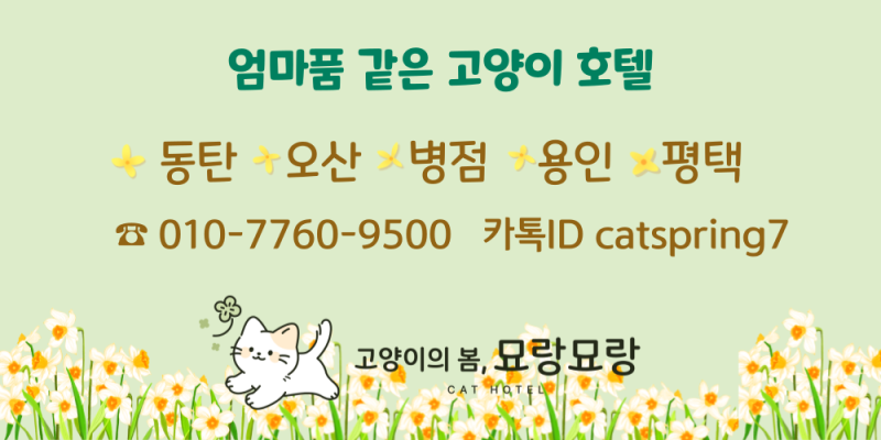 칠공이 이미지