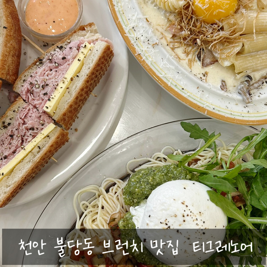 티그레노어 이미지