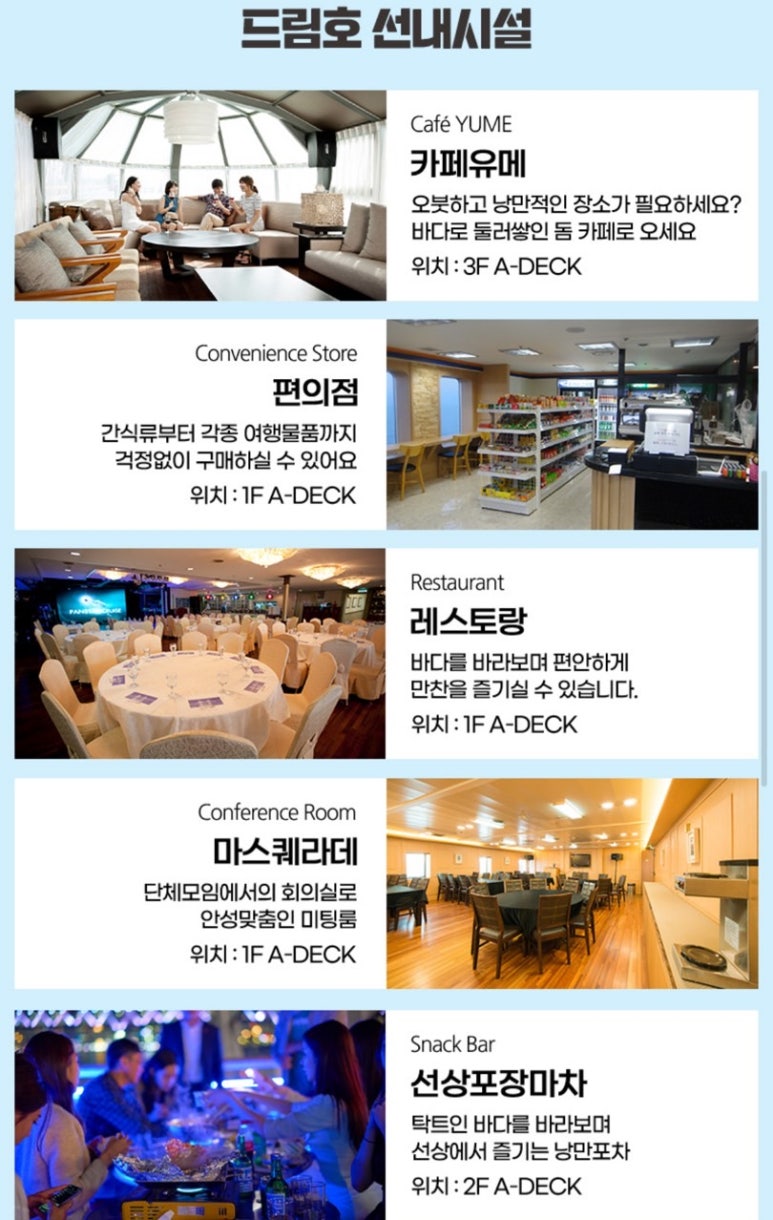 디스코포차 이미지