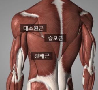 더멋짐 이미지