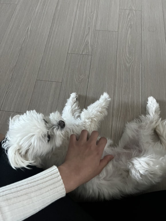 텐퍼센트신대부적점 이미지
