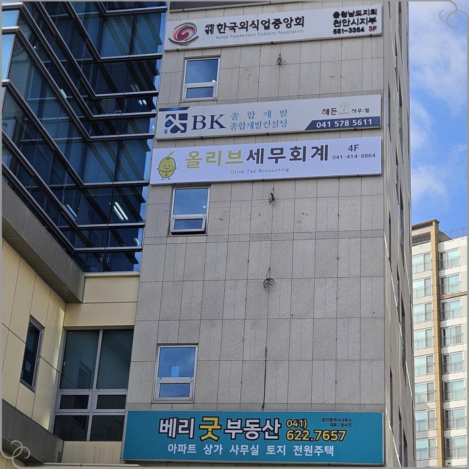 올리브세무회계 이미지