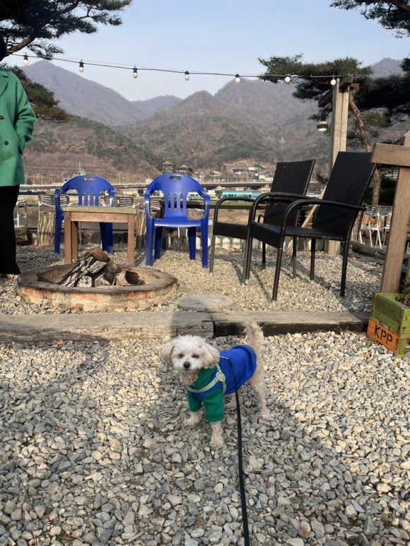 카페나루터로 이미지