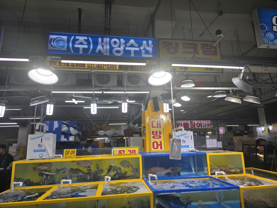 세양수산 이미지