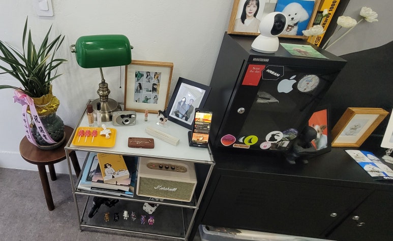 오호라사진관 이미지