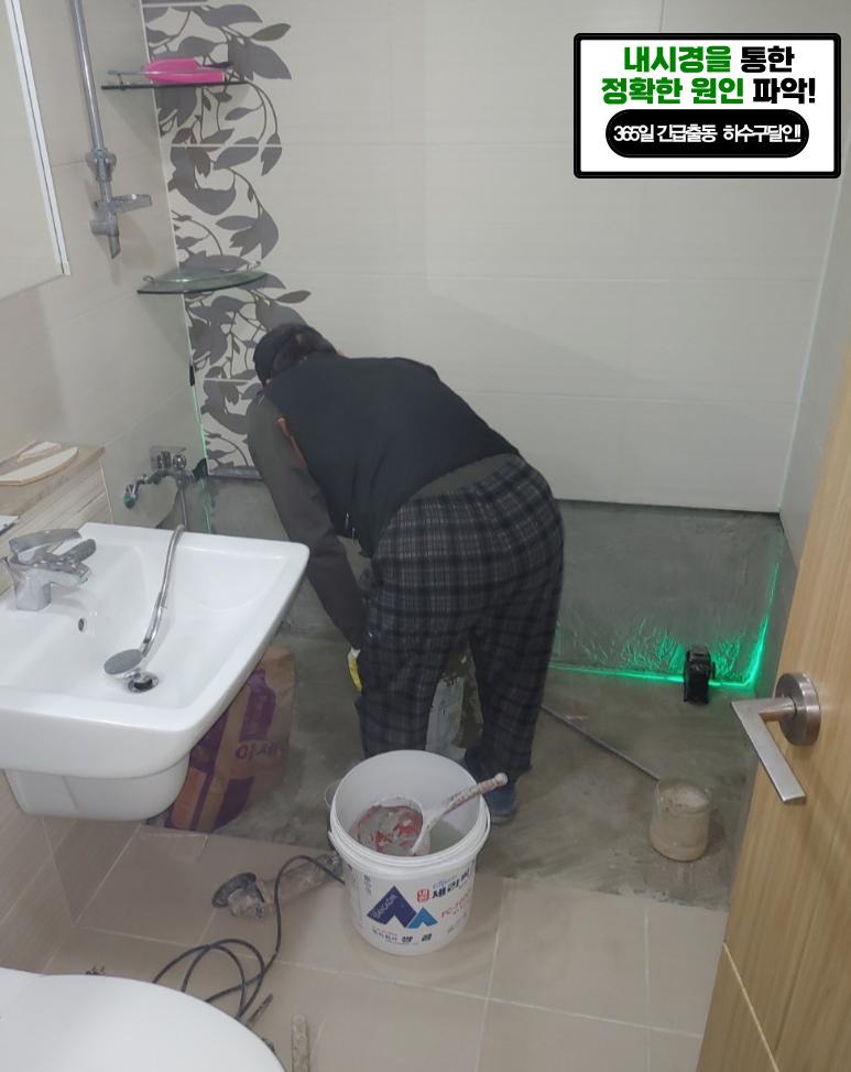 재재수선 이미지