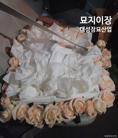 대성장묘 이미지