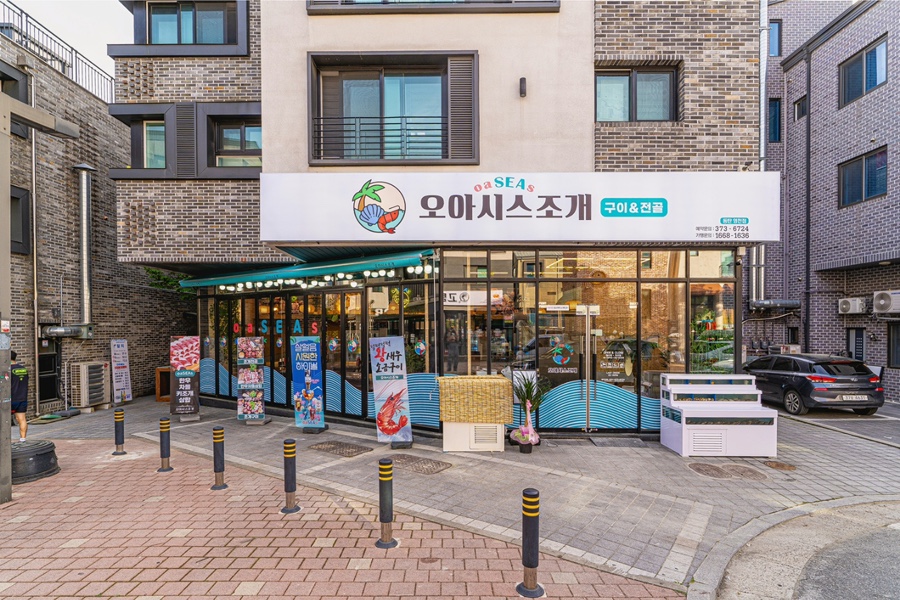 오아시스조개 이미지