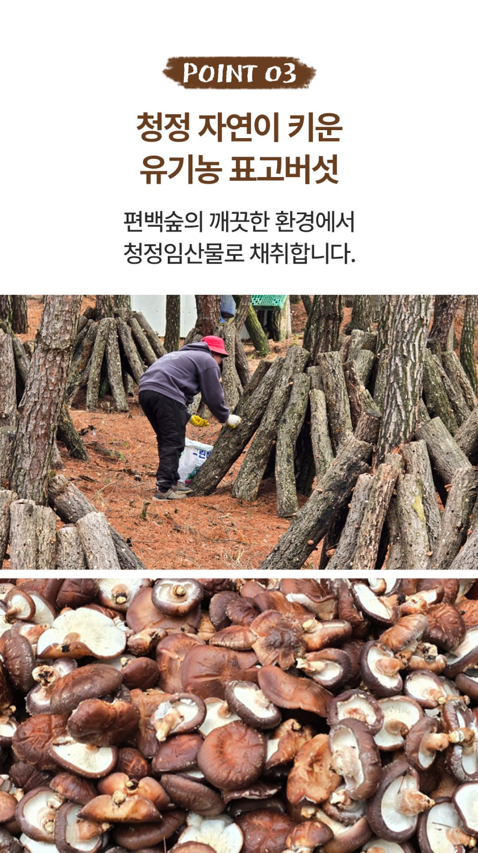 제이에스기획 이미지