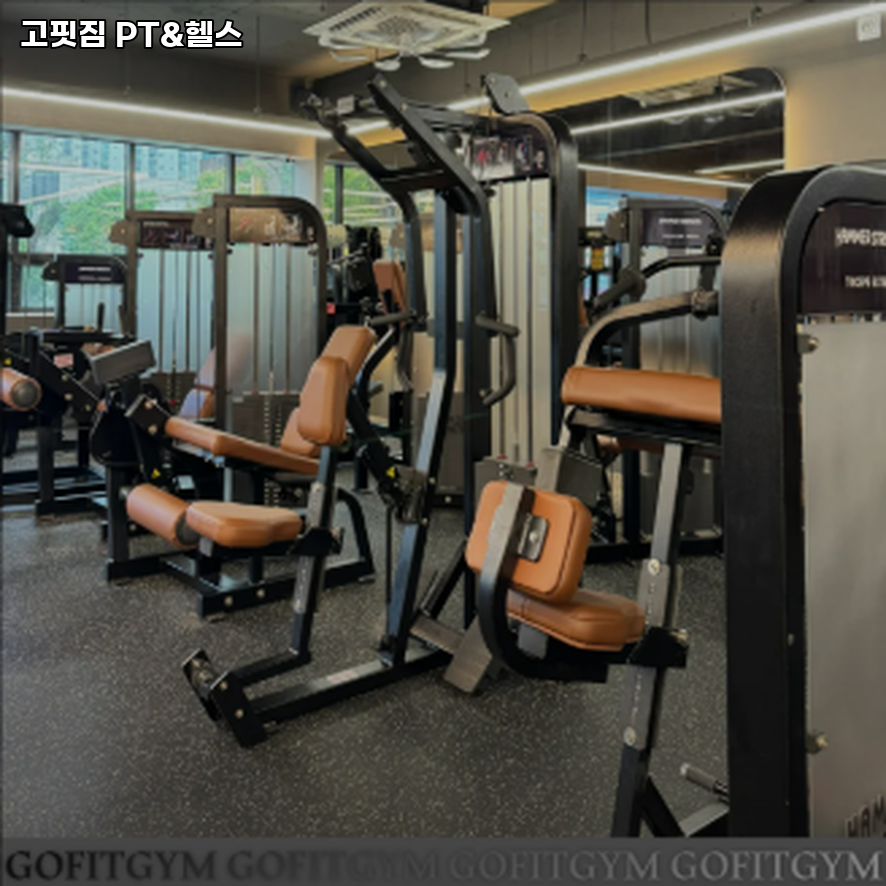 고핏 이미지