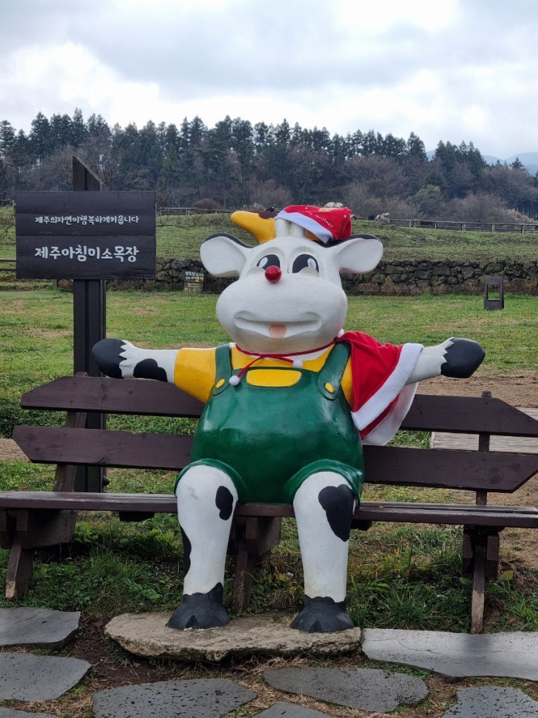 제주미소 이미지