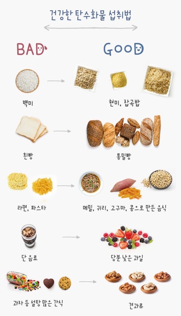 탄수화물 이미지