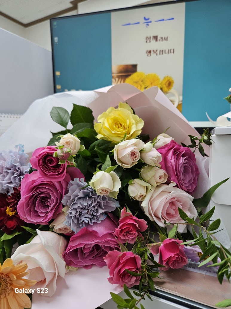 임마누엘집 이미지