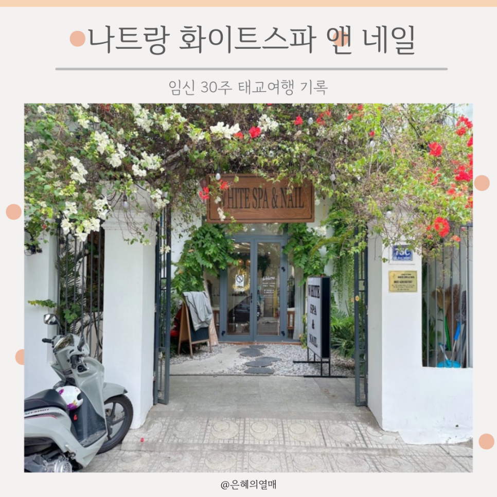 화이트(white)네일 이미지