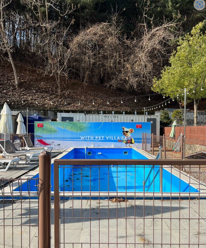 위드펫빌리지 이미지