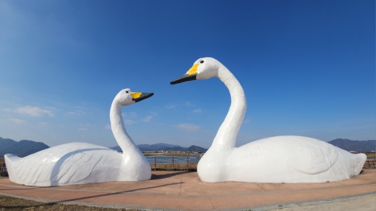 백금포로생태문화협동조합 이미지