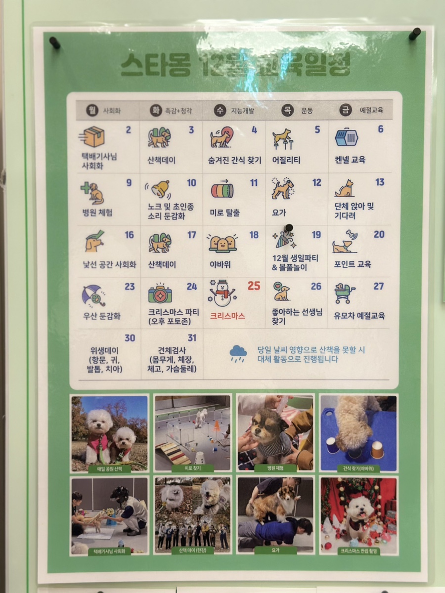 강남 강아지 유치원, 매달 바뀌는 프로그램과 시설 — 사진 7