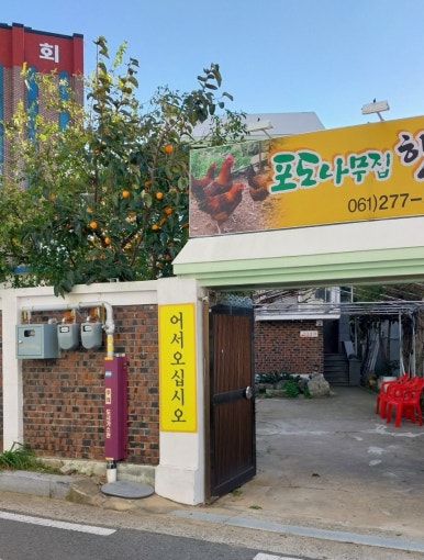 포도나무집한방백숙 이미지