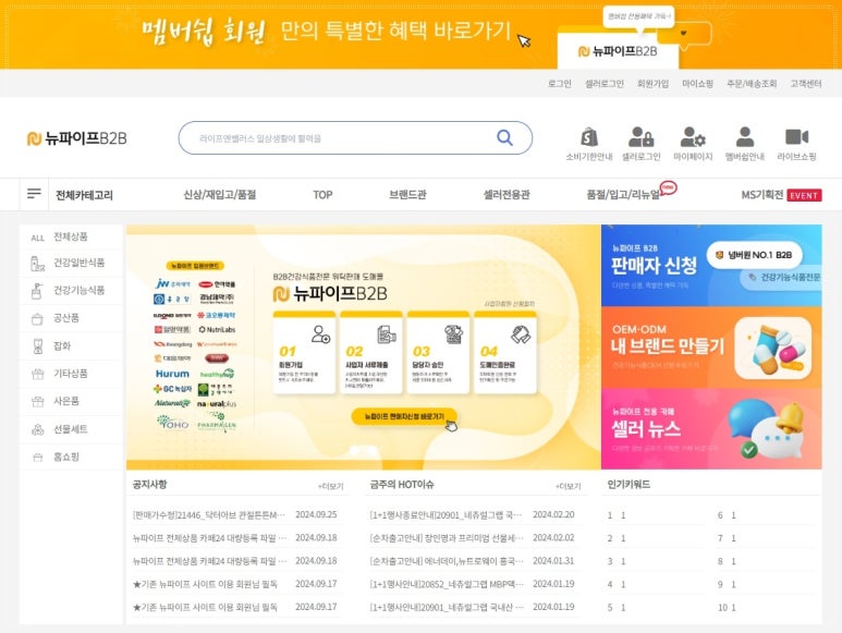 브렌드뉴사이트 이미지