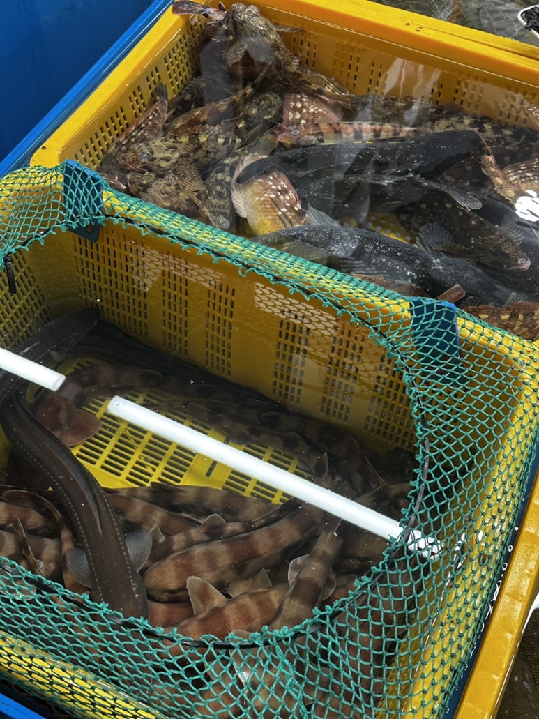 카페인중독 부산연산점 이미지