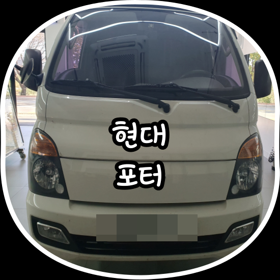 김프로카케어 이미지