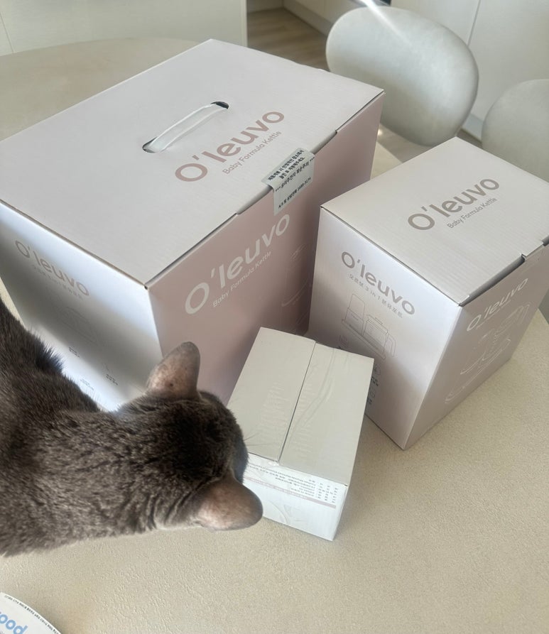 오르보 이미지