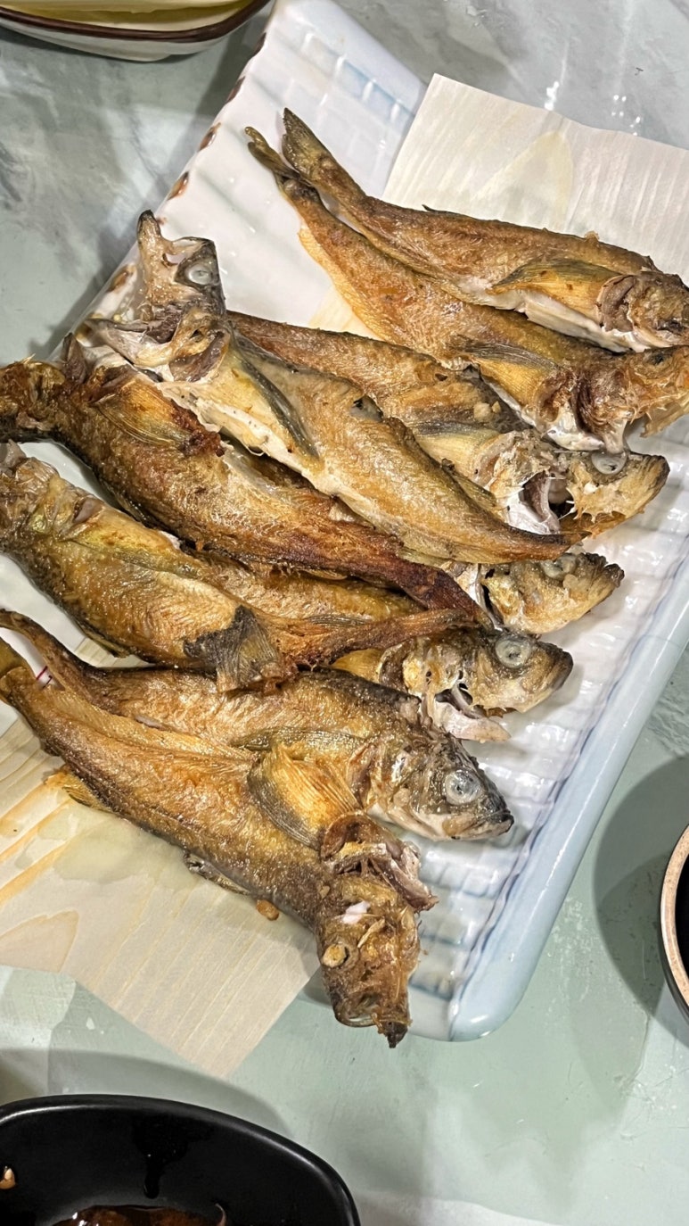 술푸마 이미지