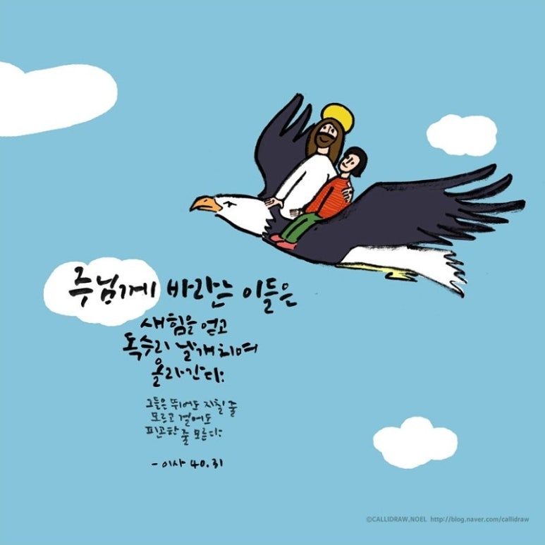 날개 이미지