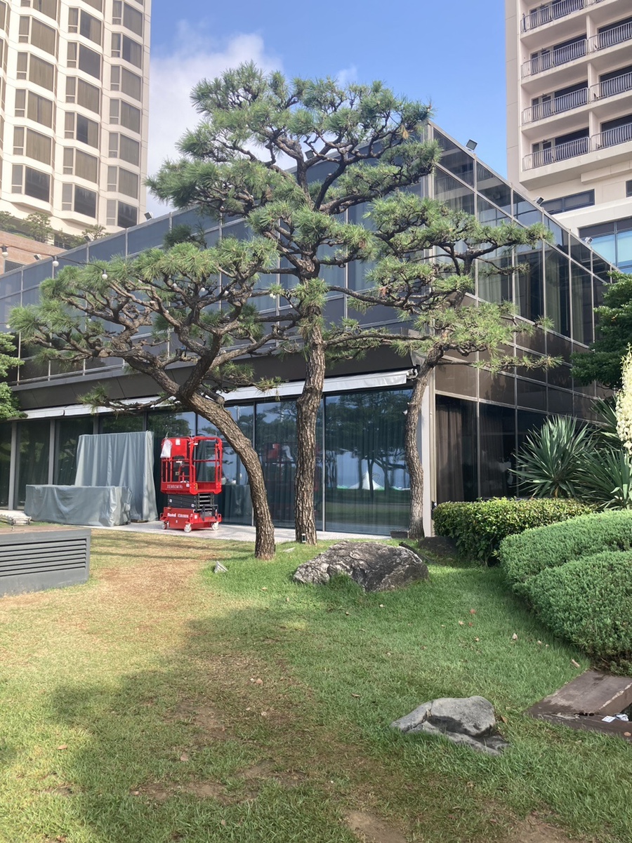 눈부신강산 이미지