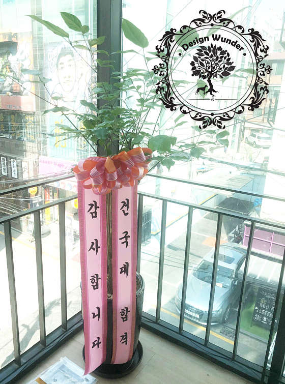디자인분더 이미지