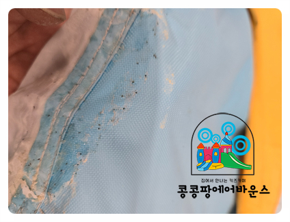 방방존 이미지