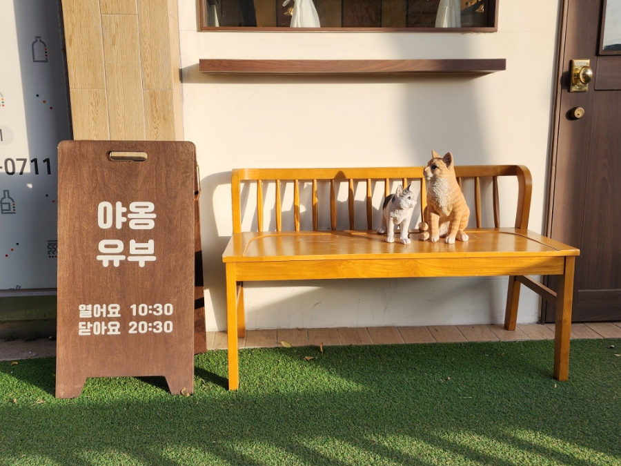 야옹유부 이미지