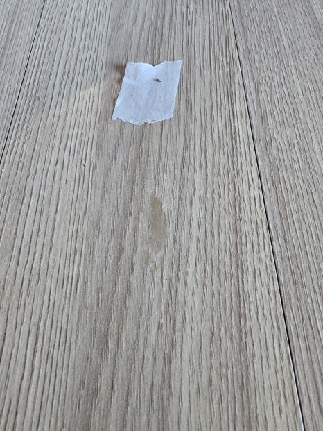 전마루 이미지