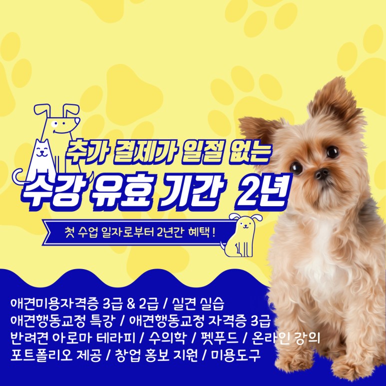 동화미용 이미지