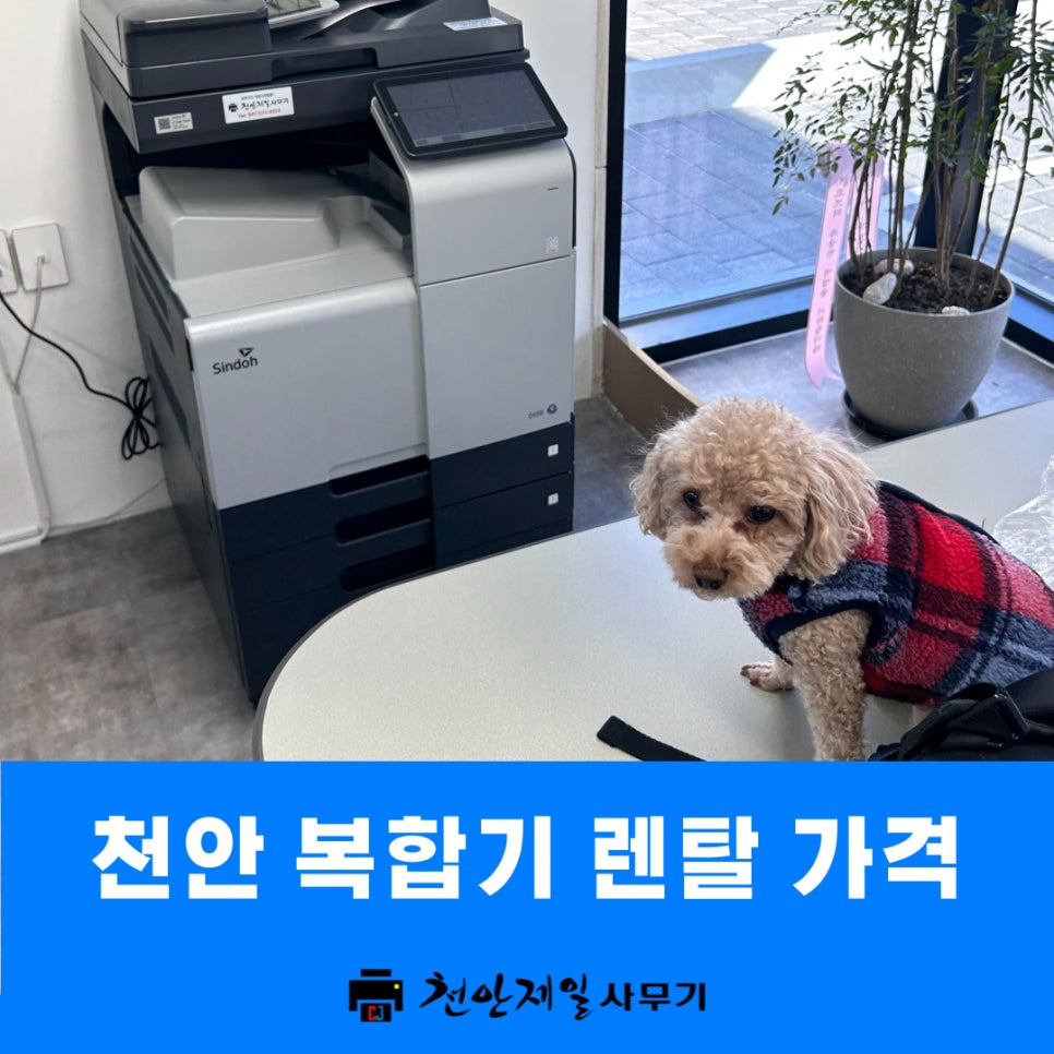 천안제일사무기 이미지