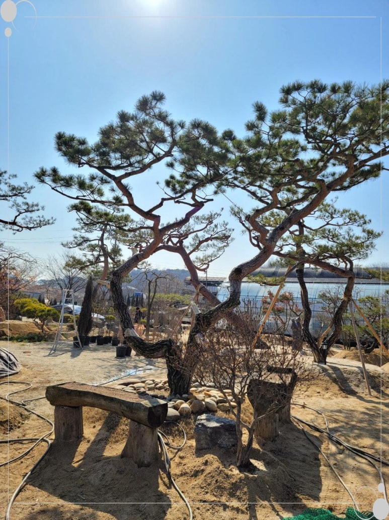 여주이천양평조경 이미지