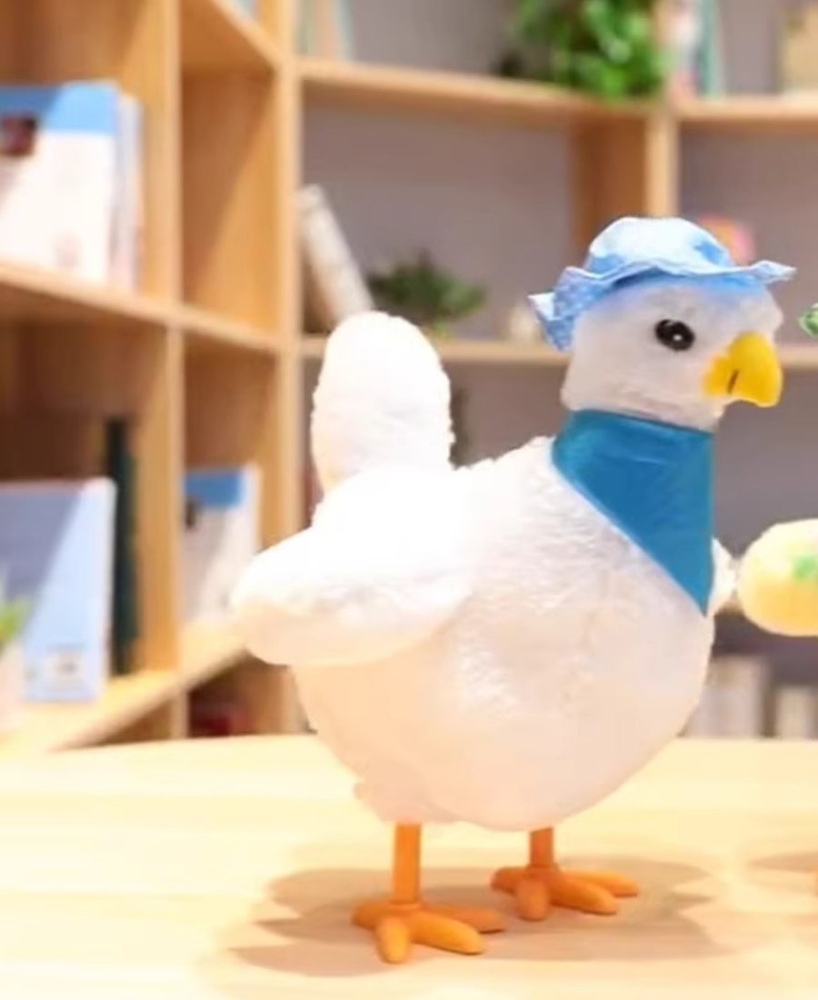 꼬꼬닭이네 이미지