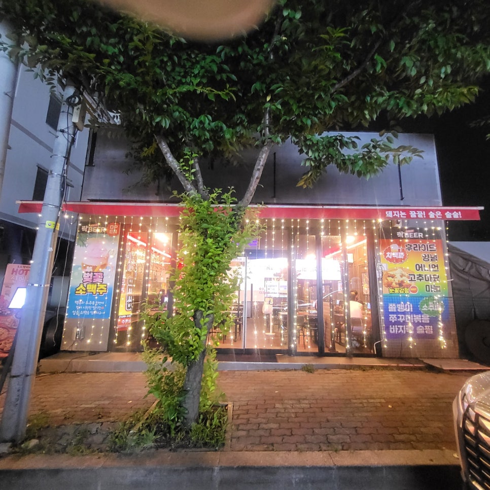 락비어 이미지