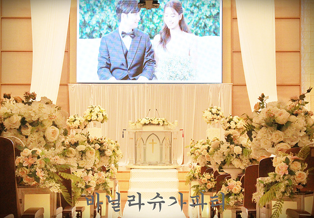 슈가파티 이미지