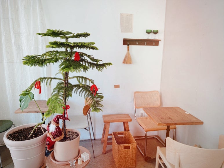 cafe oort(카페 오르트) 이미지