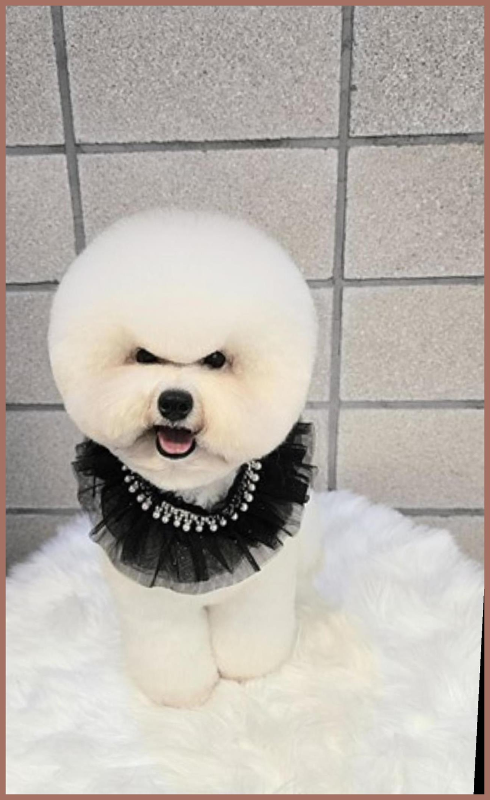 호텔비바체 이미지