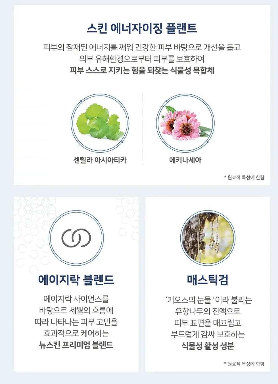 뉴세월따라 이미지