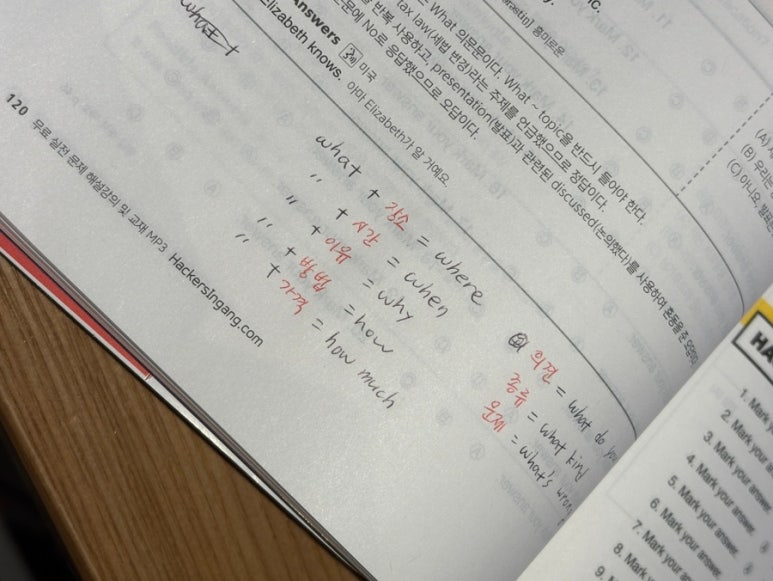 홍지인 이미지