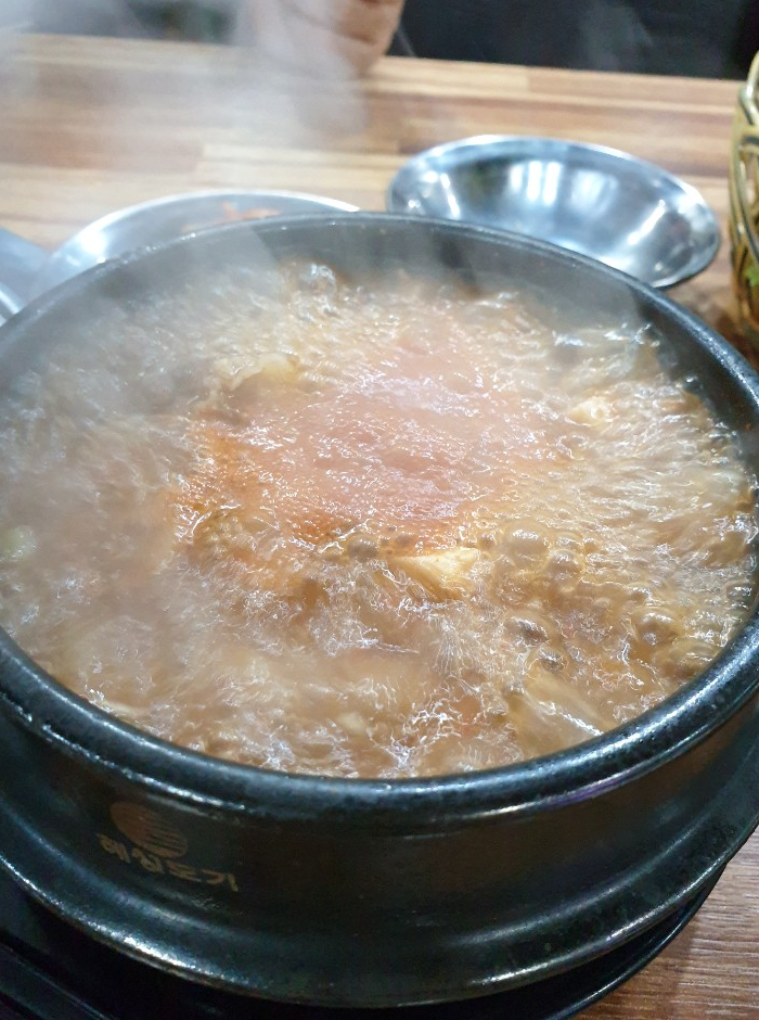 돈강꽃돼지 이미지